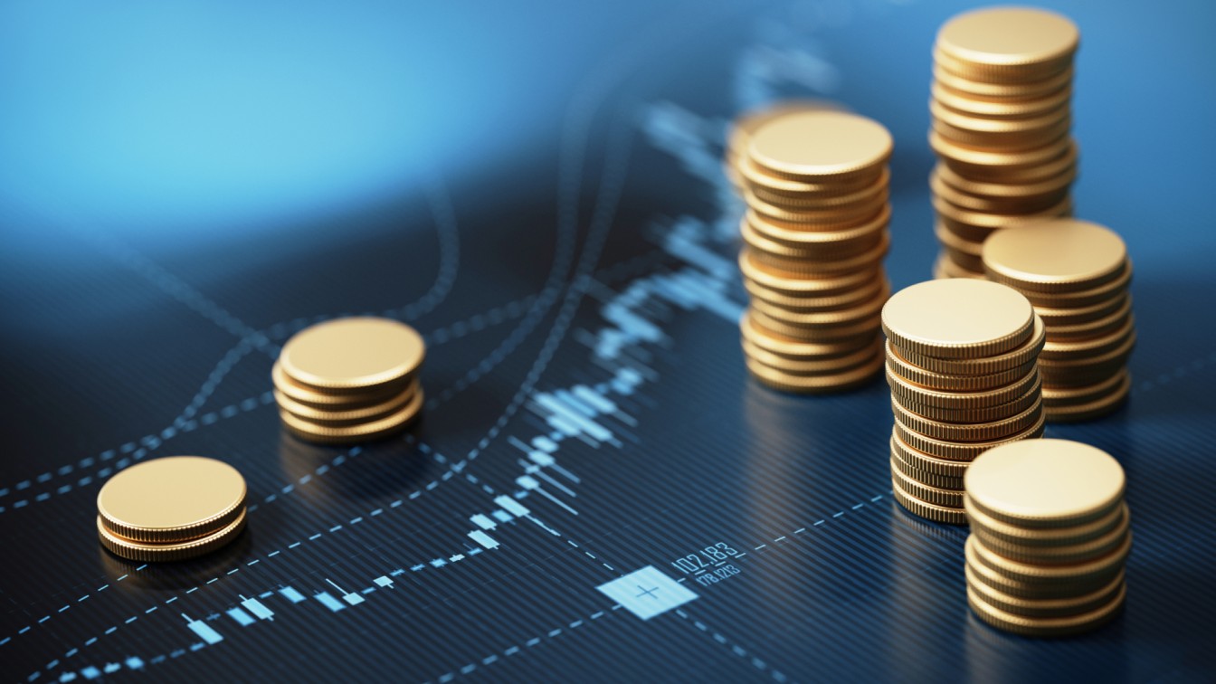 Investment Strategy